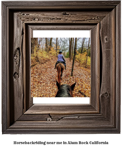 horseback riding near me in Alum Rock, California